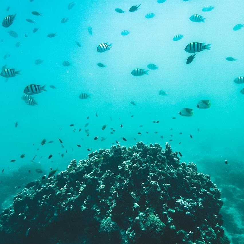 Zanzibar Day Trip